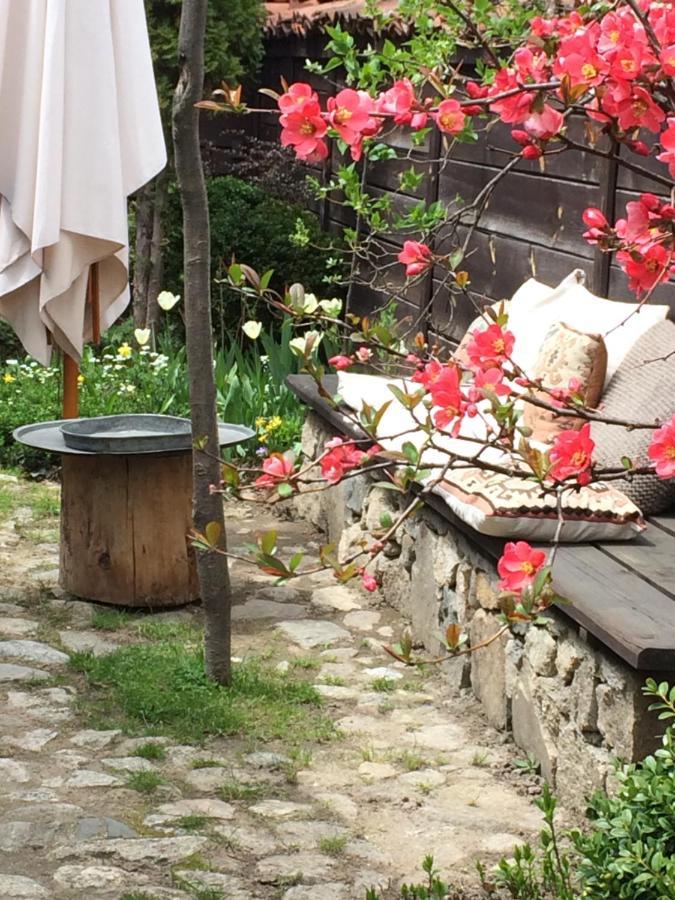 Darina Guest House Koprivshtitsa Buitenkant foto